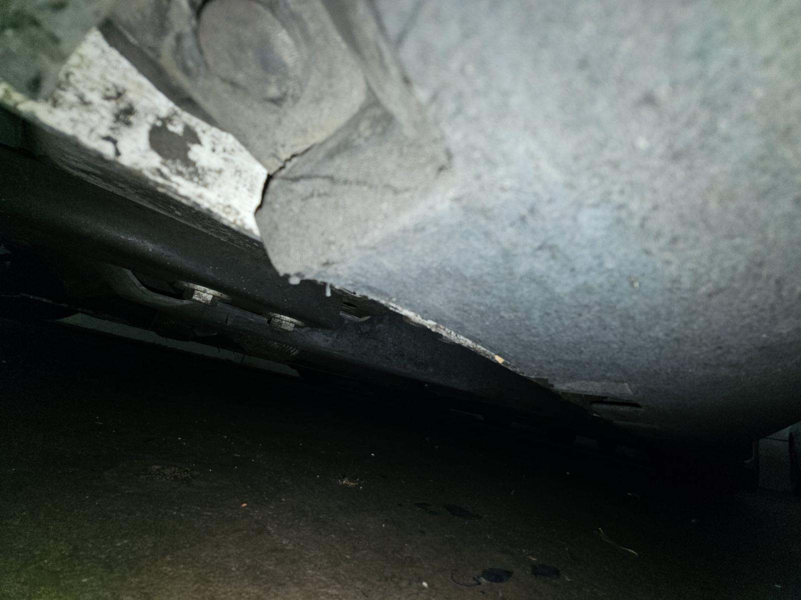 2019 Ford Mustang Shelby GT350 RWD