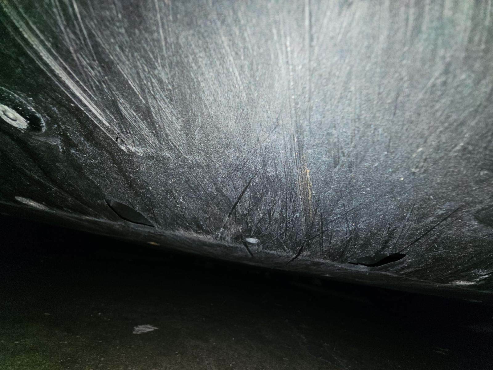 2019 Ford Mustang Shelby GT350 RWD