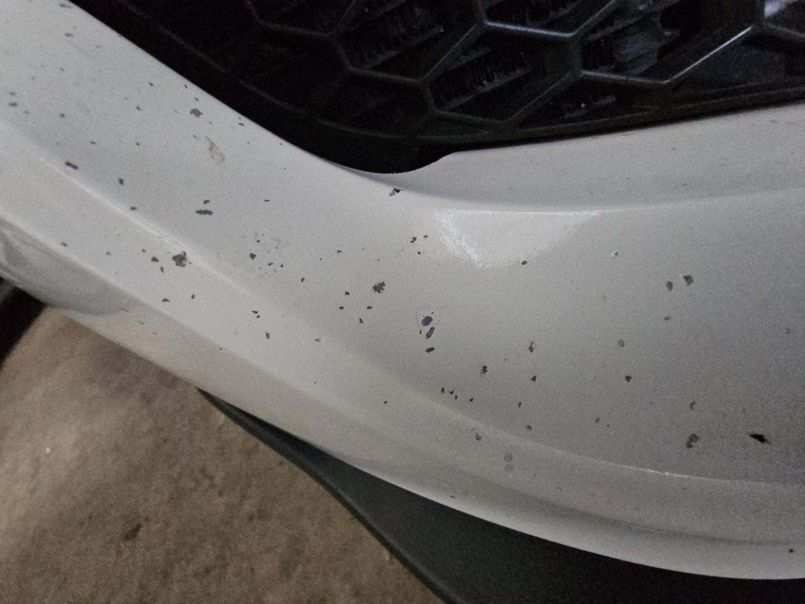 2019 Ford Mustang Shelby GT350 RWD