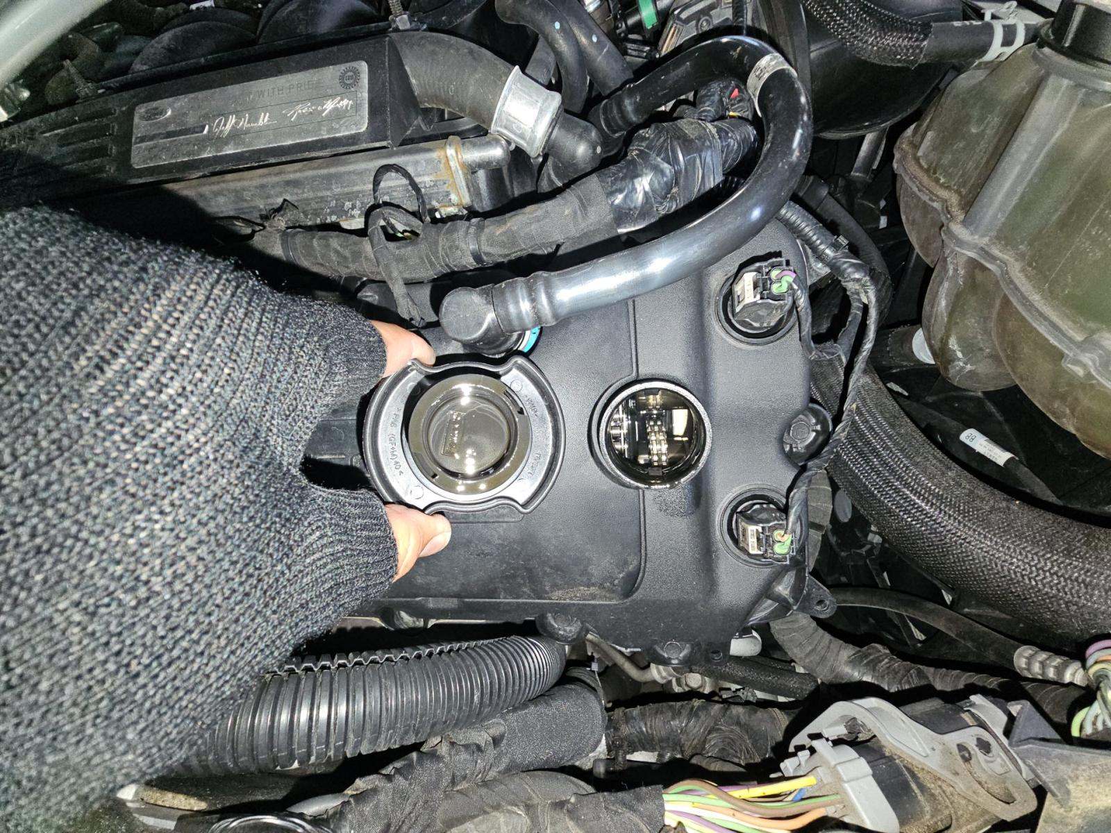 2019 Ford Mustang Shelby GT350 RWD