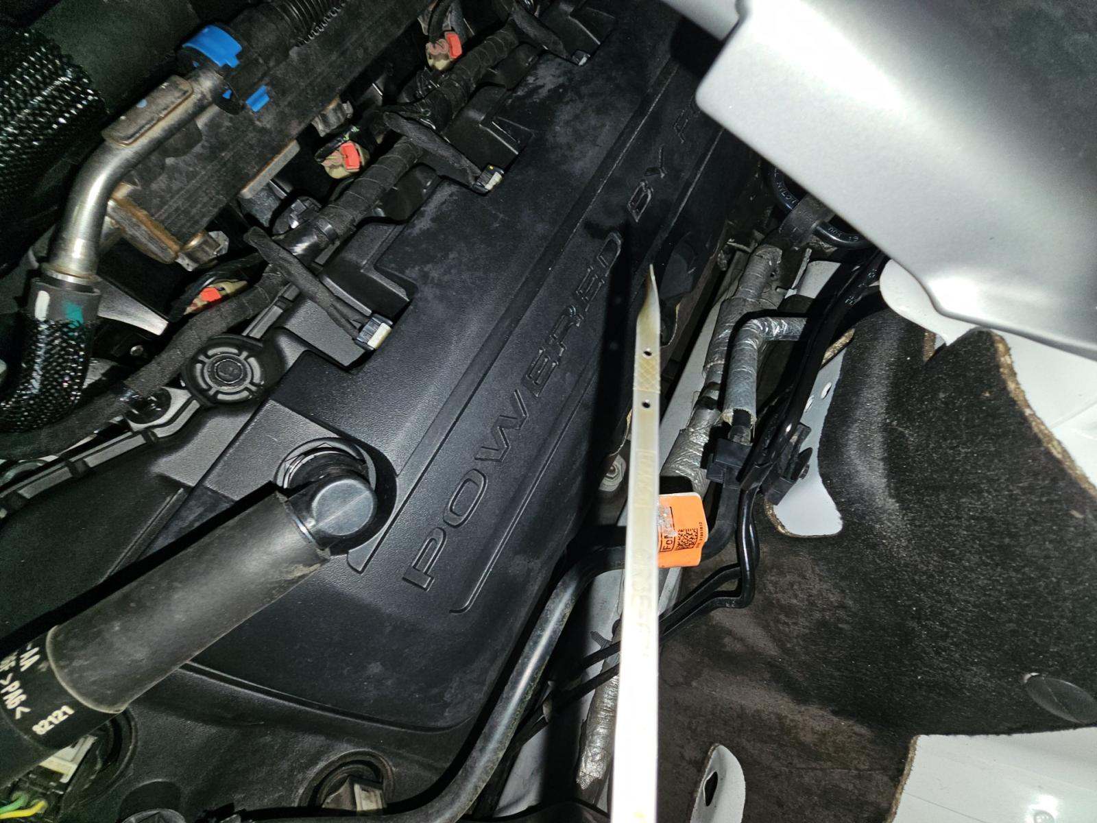 2019 Ford Mustang Shelby GT350 RWD