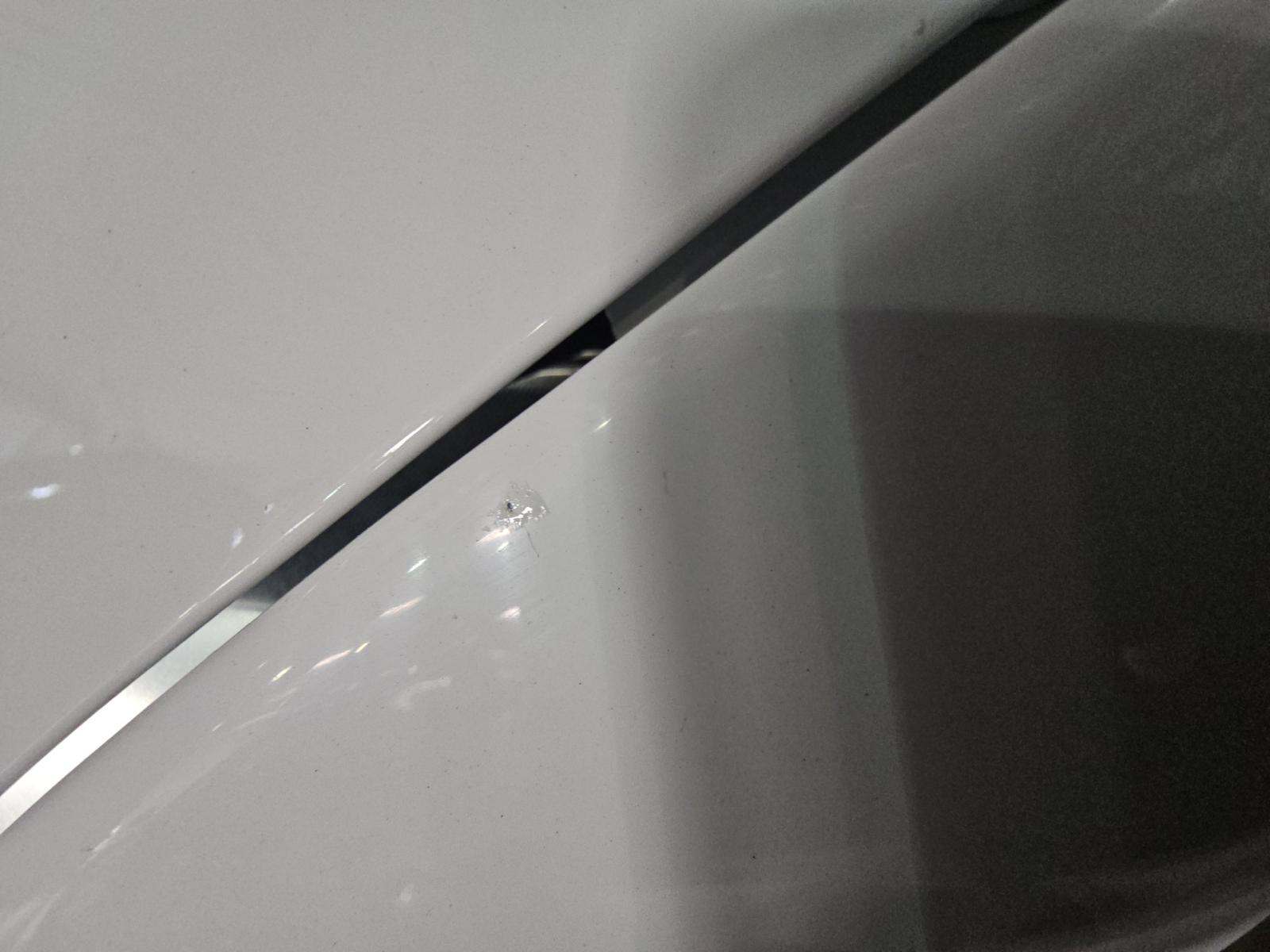 2019 Ford Mustang Shelby GT350 RWD