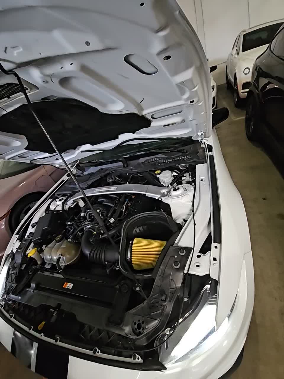 2019 Ford Mustang Shelby GT350 RWD