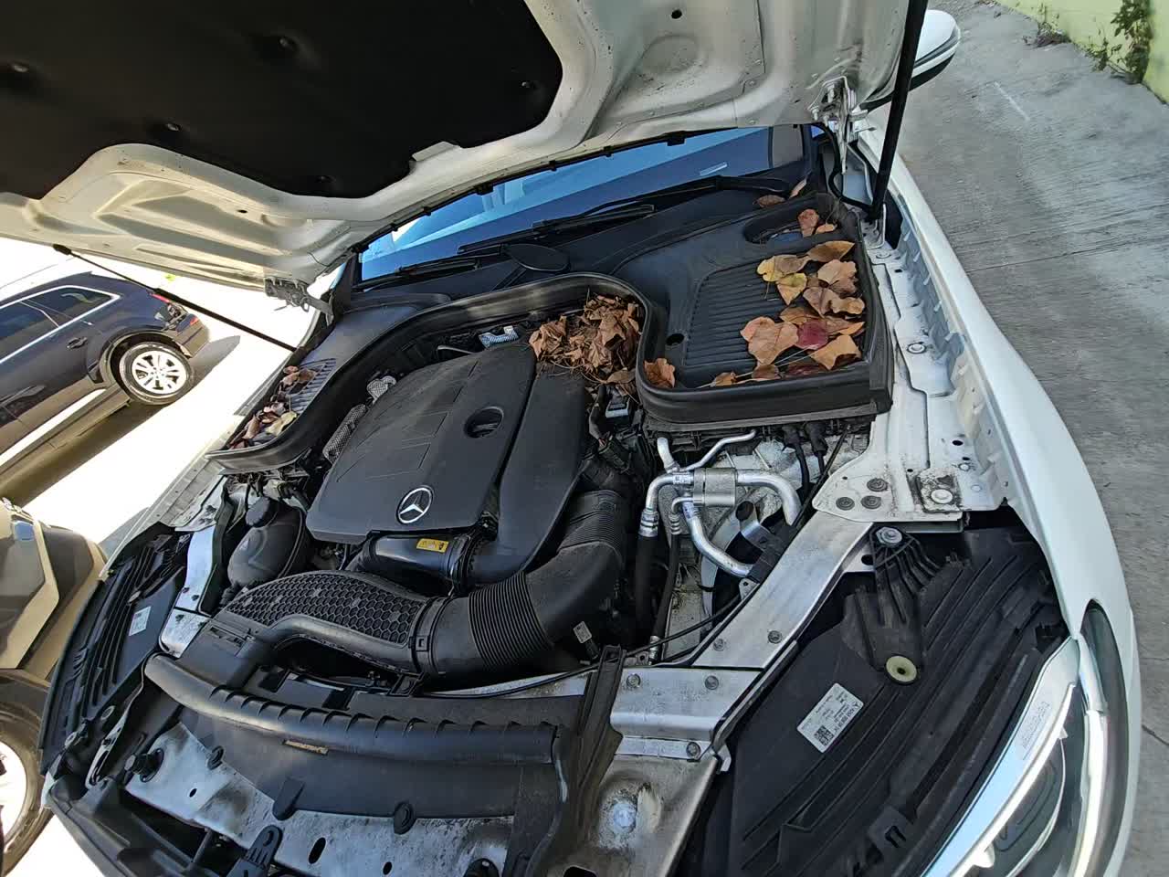 2022 Mercedes-Benz GLC GLC 300 AWD