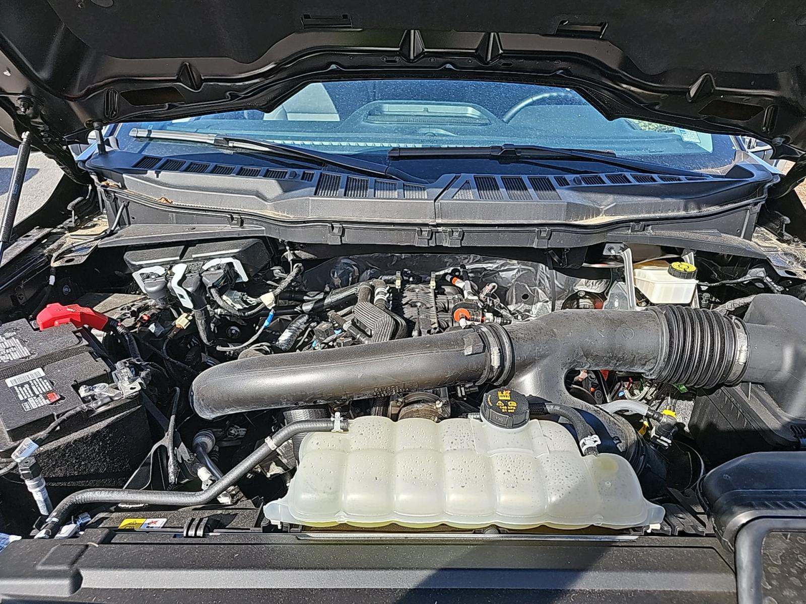 2024 Ford F-150 XLT AWD