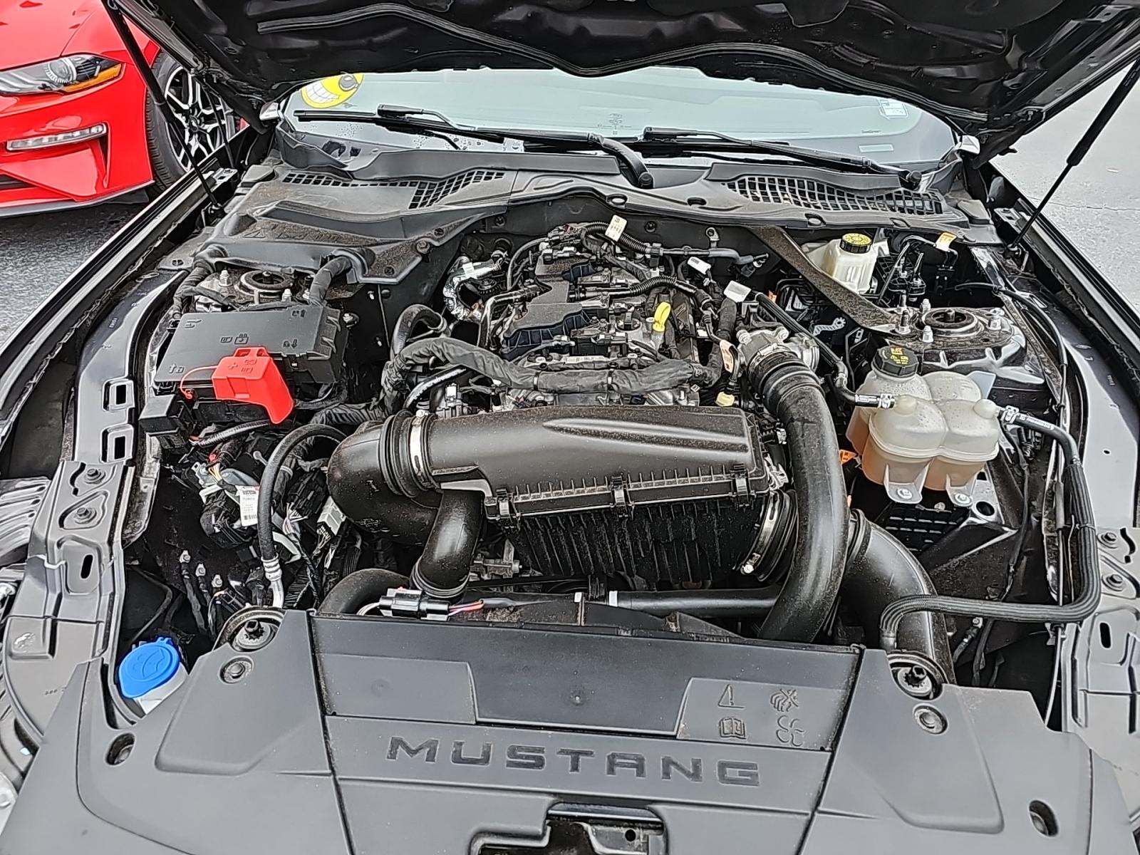 2024 Ford Mustang EcoBoost Premium RWD