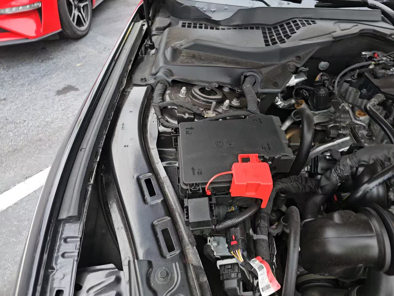 2024 Ford Mustang EcoBoost Premium RWD