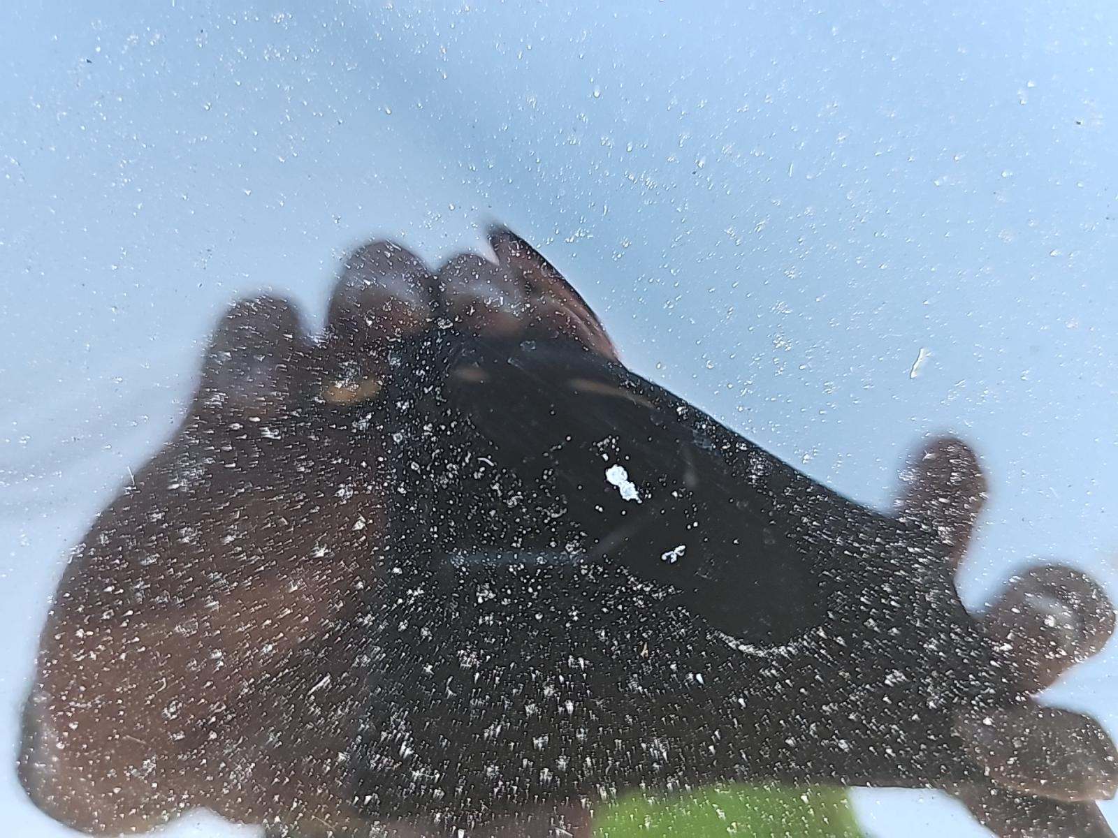 2022 Ford Mustang GT Premium RWD