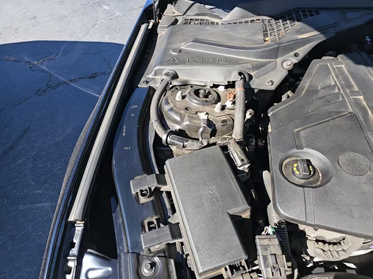 2022 Ford Mustang GT Premium RWD