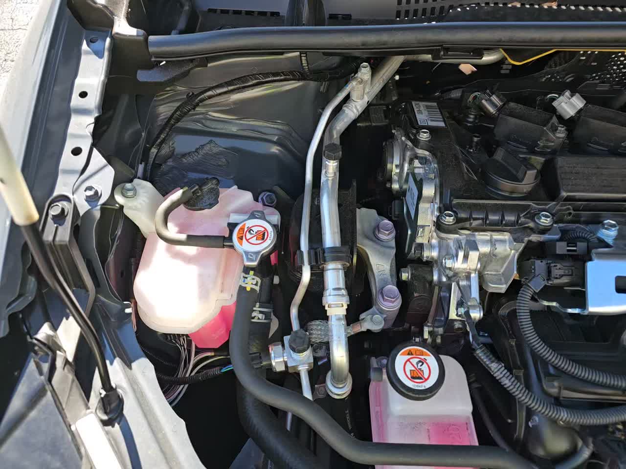 2025 Toyota Prius XLE FWD