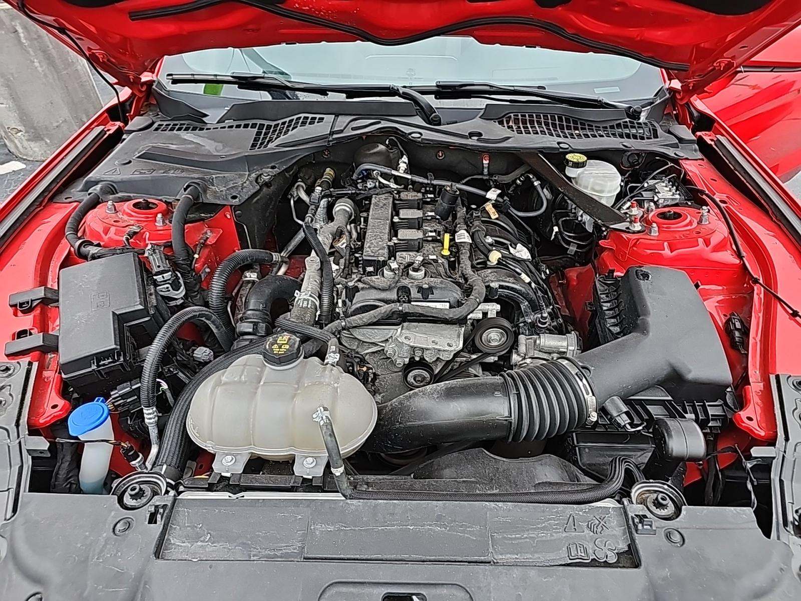 2023 Ford Mustang EcoBoost Premium RWD