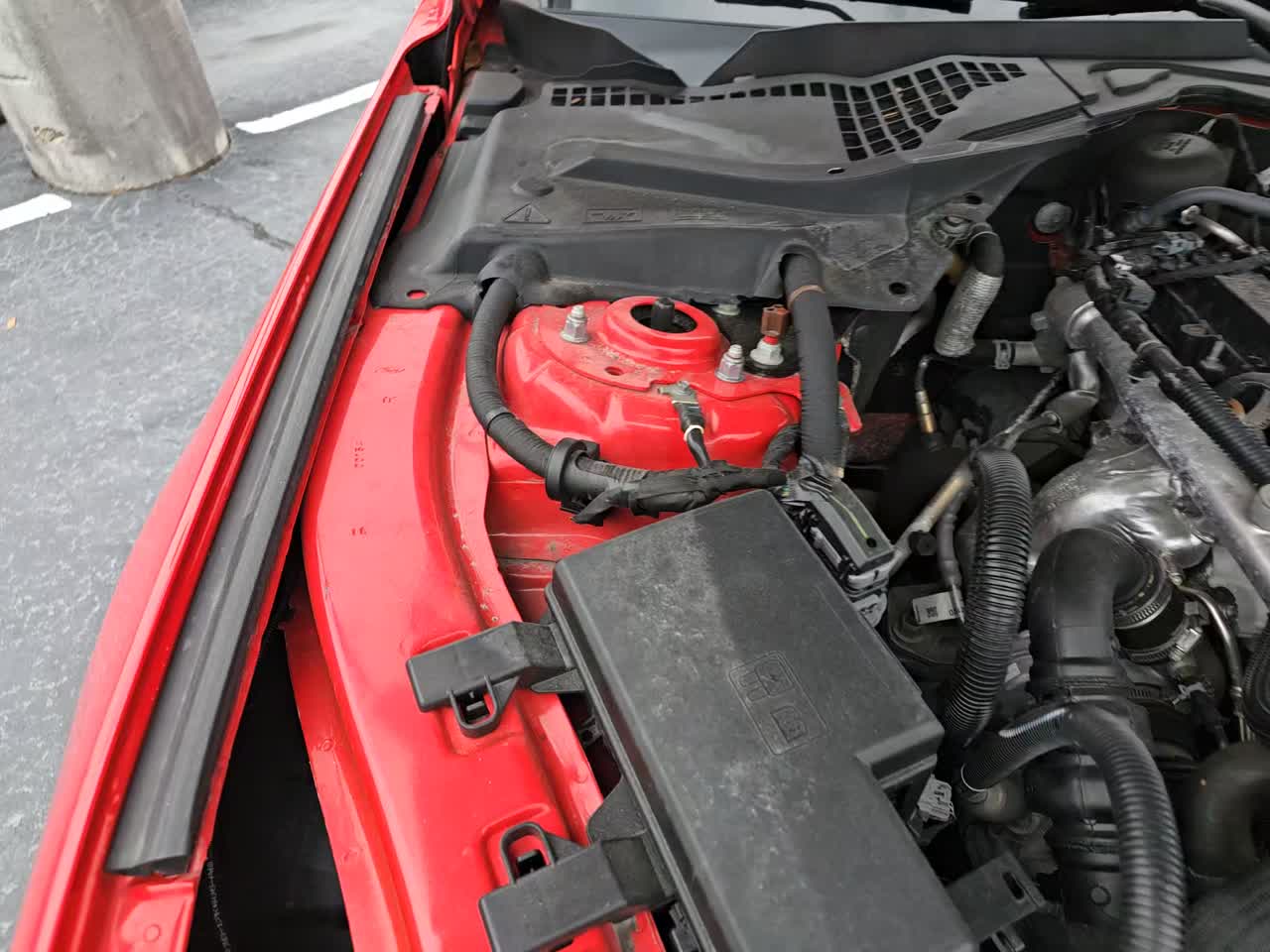 2023 Ford Mustang EcoBoost Premium RWD