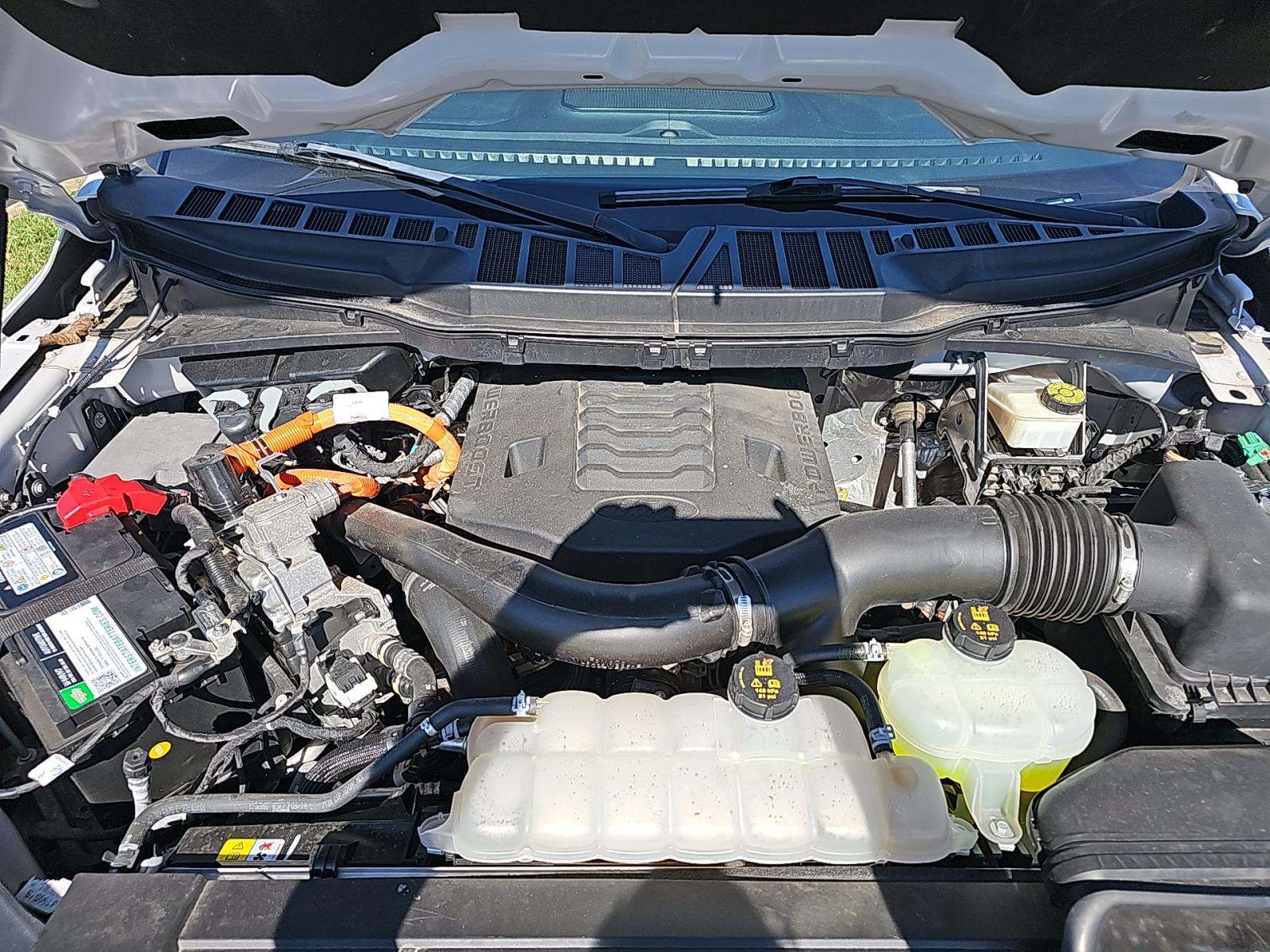 2021 Ford F-150 Hybrid XLT RWD