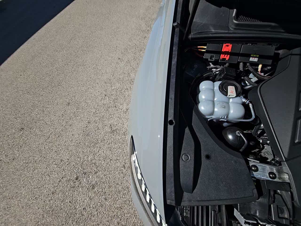 2024 Audi RS Q8 Base AWD