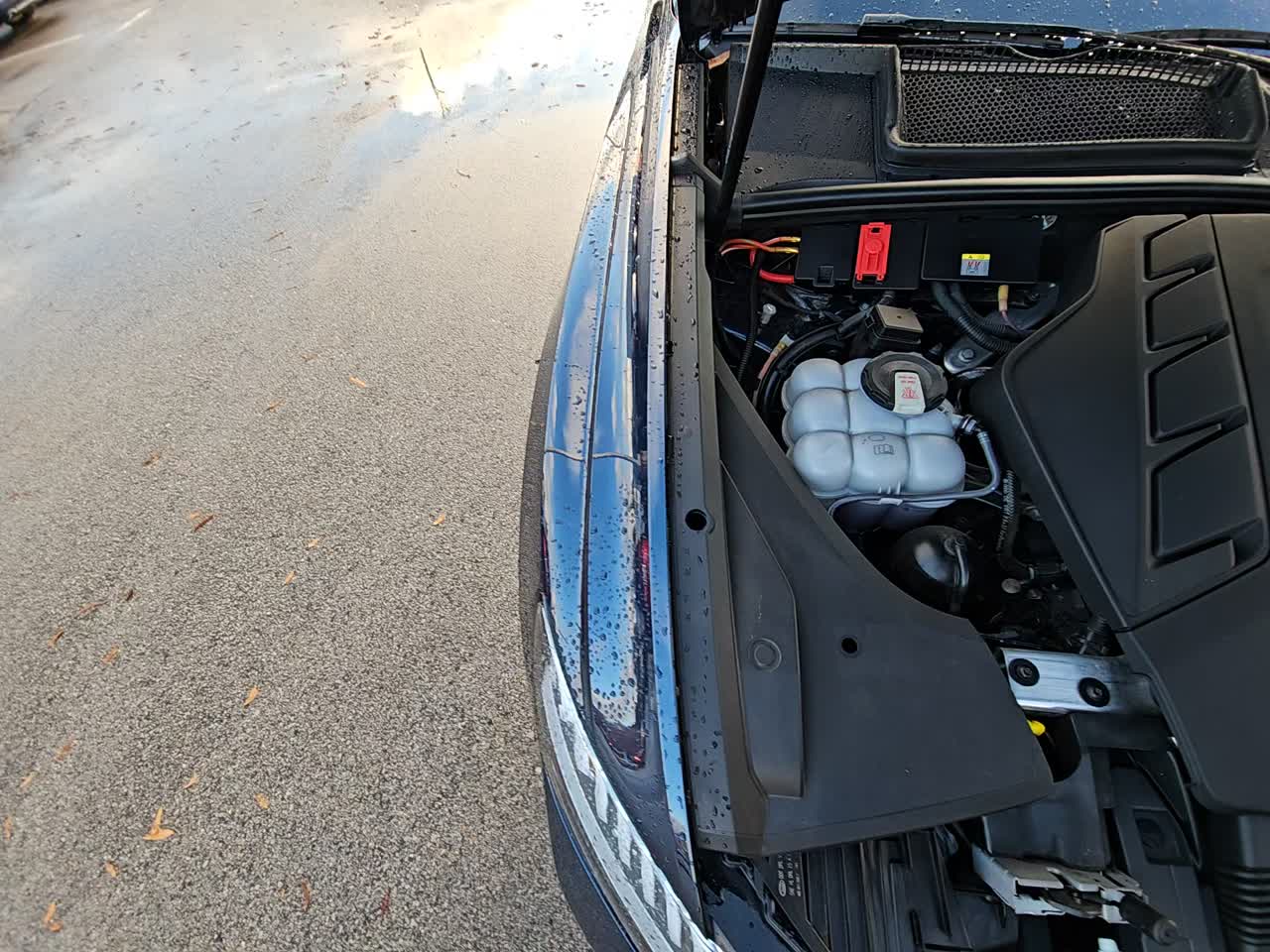 2024 Audi RS Q8 Base AWD