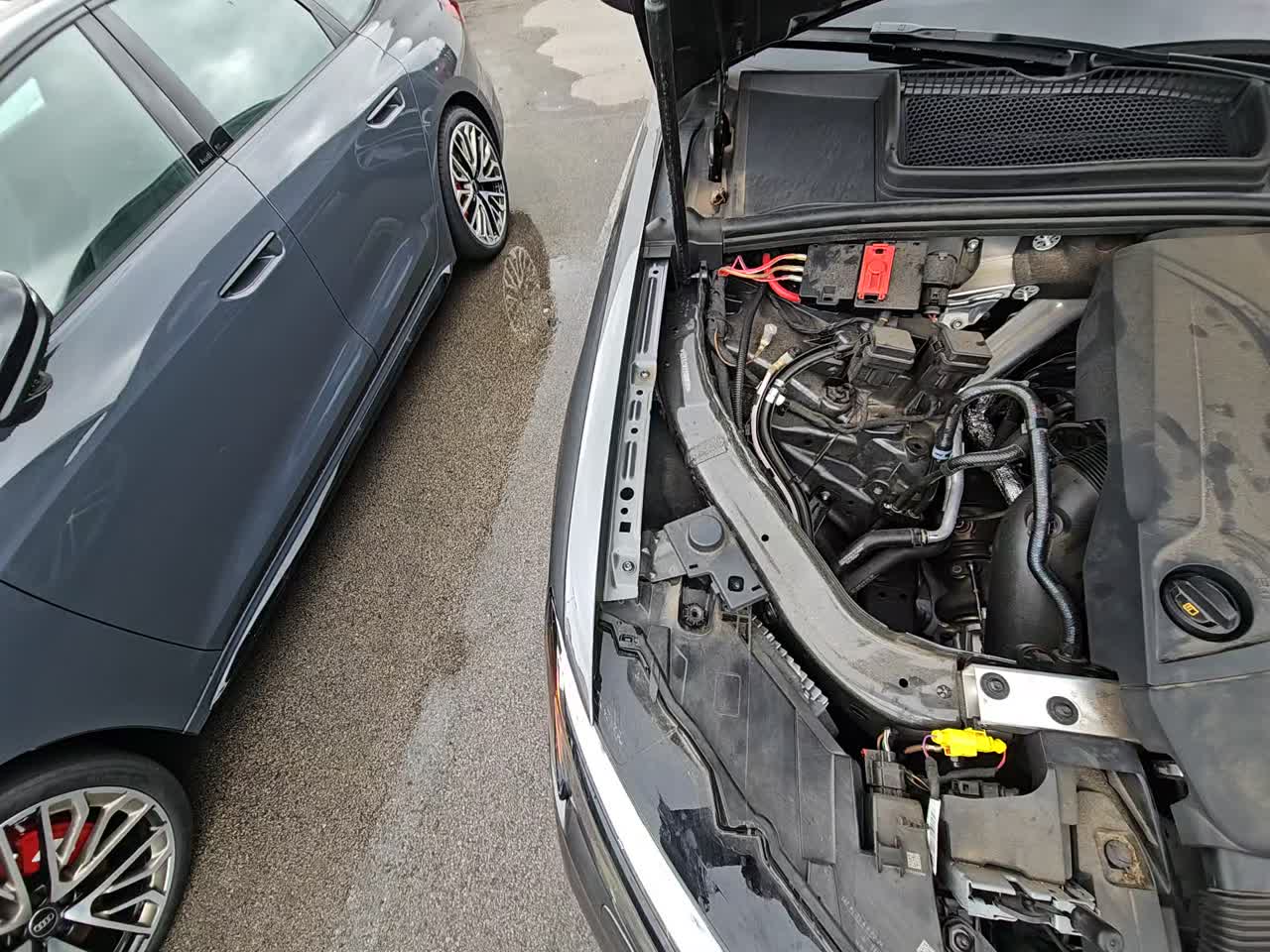 2025 Audi Q7 Premium Plus AWD