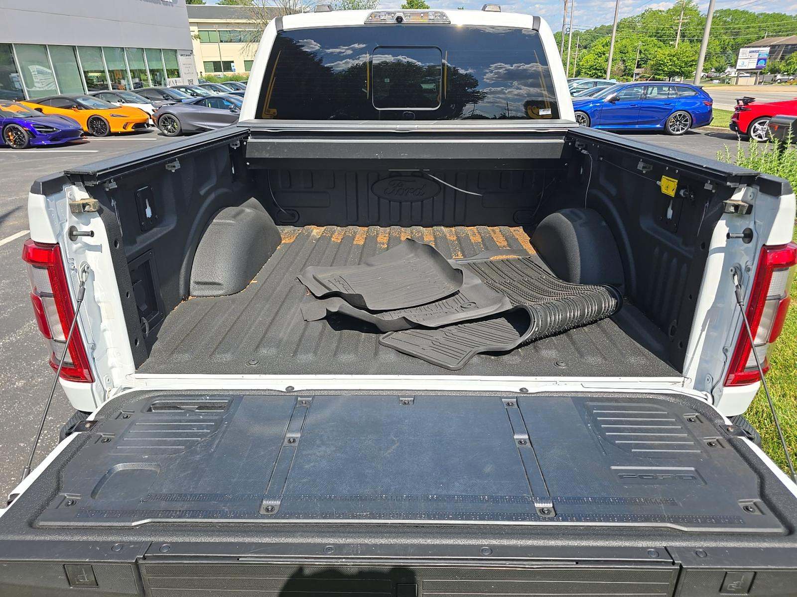 FORD F-150 - 10
