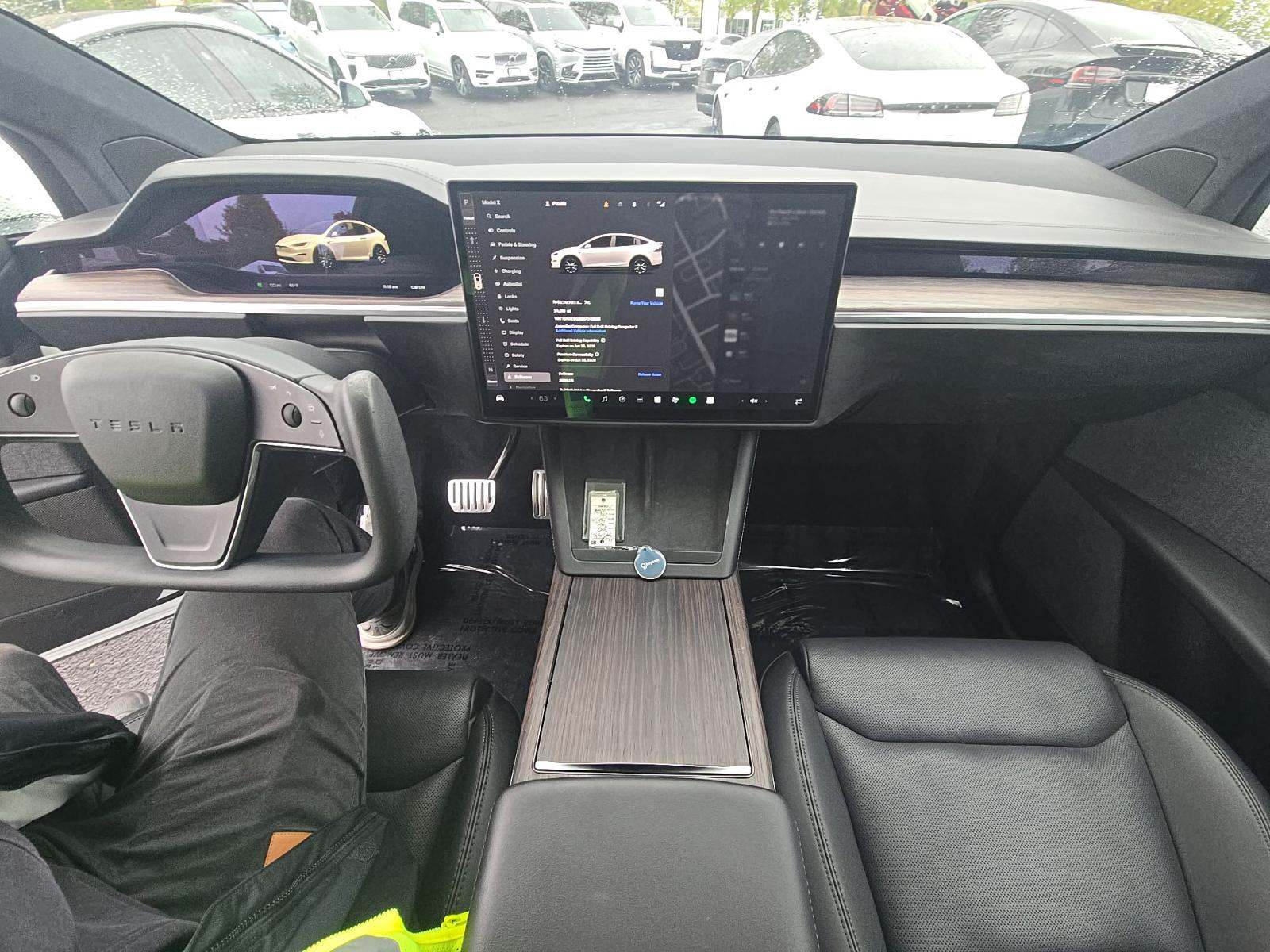 TESLA MODEL X - 10