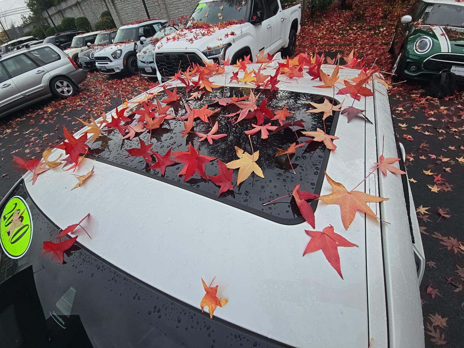 2020 BMW 3 Series 330i RWD