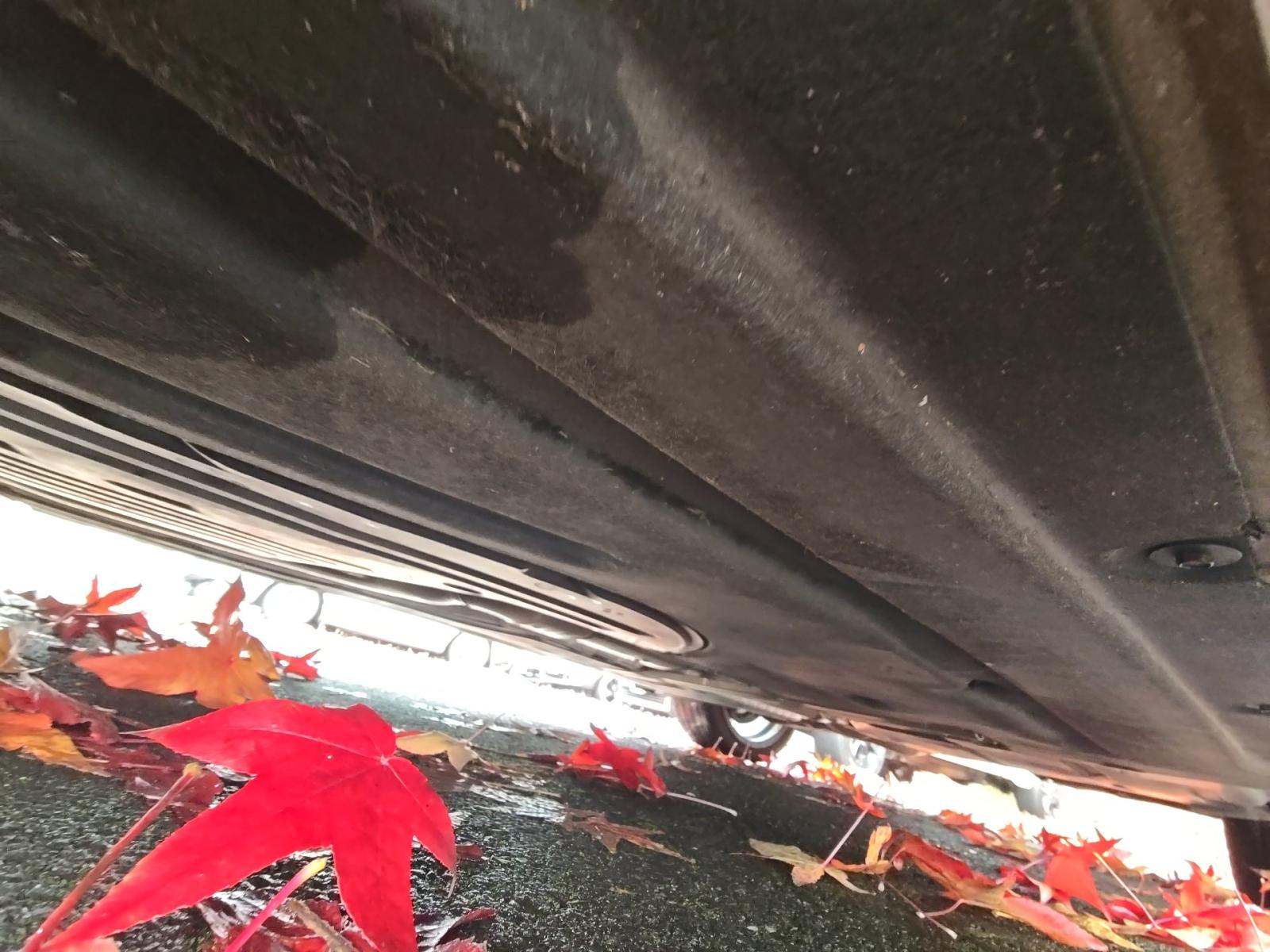 2020 BMW 3 Series 330i RWD