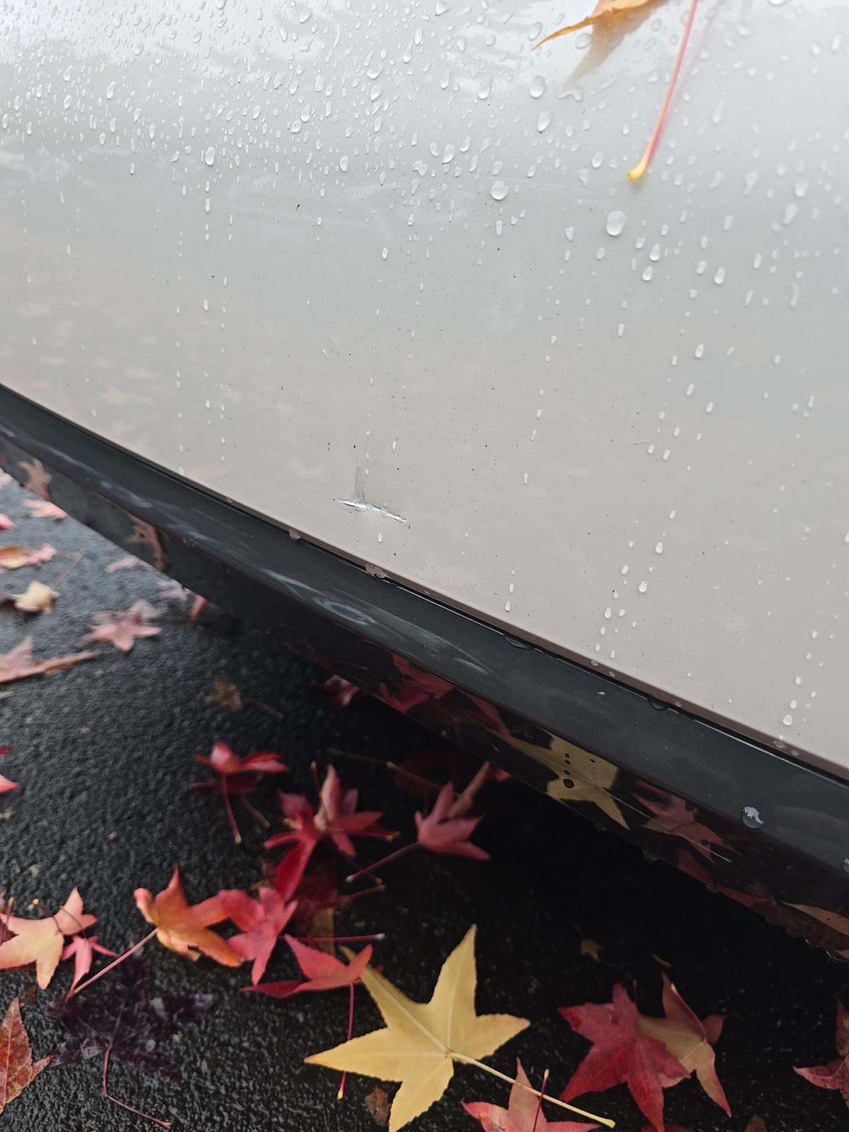 2020 BMW 3 Series 330i RWD