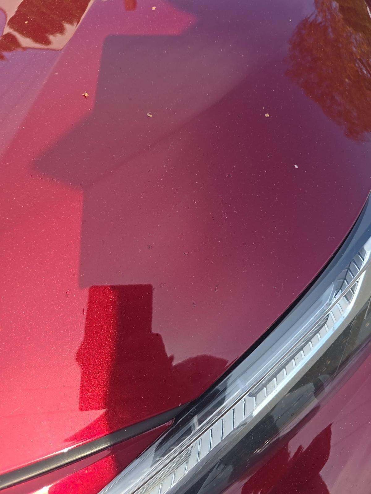 2023 Toyota RAV4 Adventure AWD