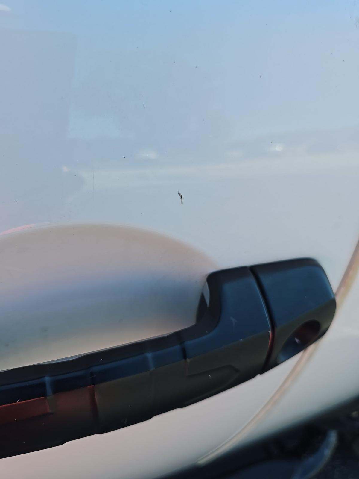 2011 Toyota FJ Cruiser Base AWD