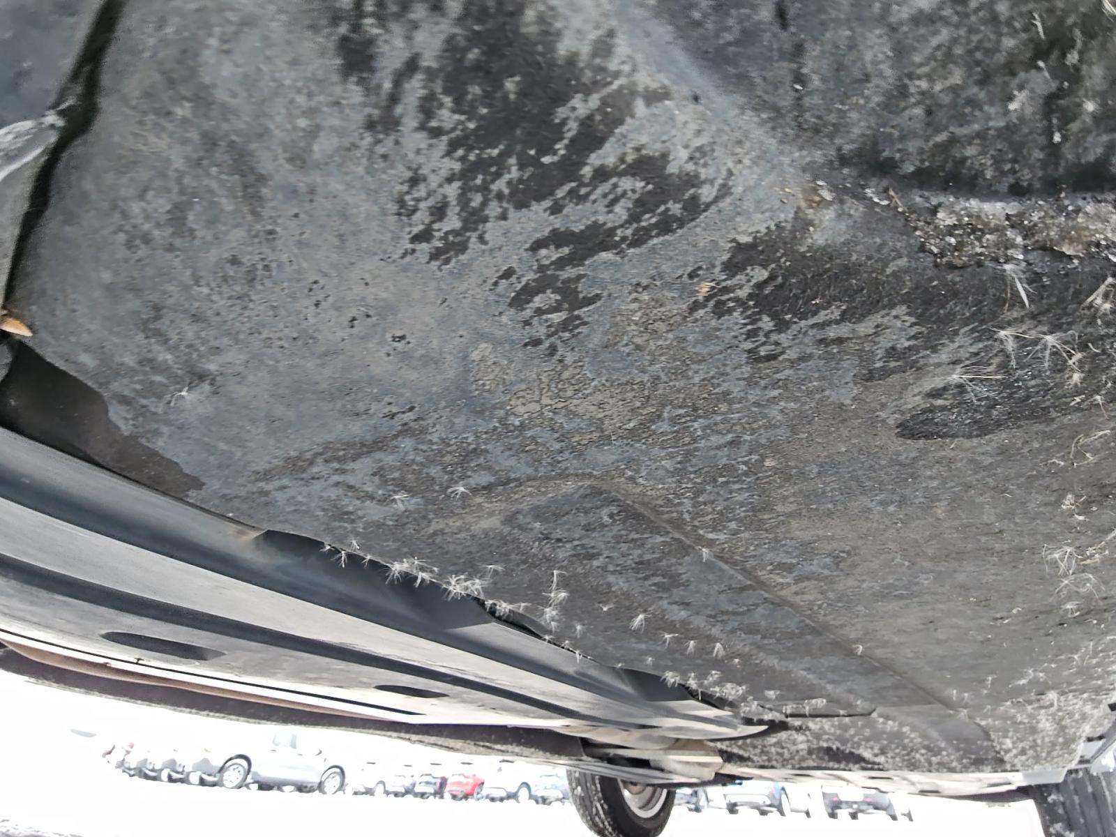 2023 BMW X3 xDrive30i AWD