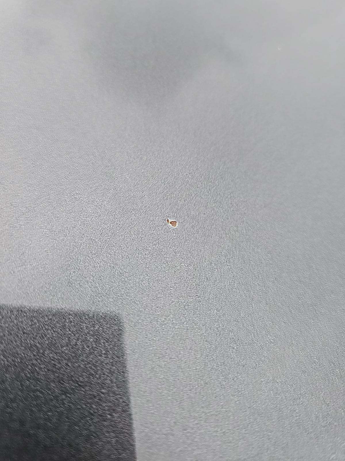 2019 Toyota C-HR XLE FWD