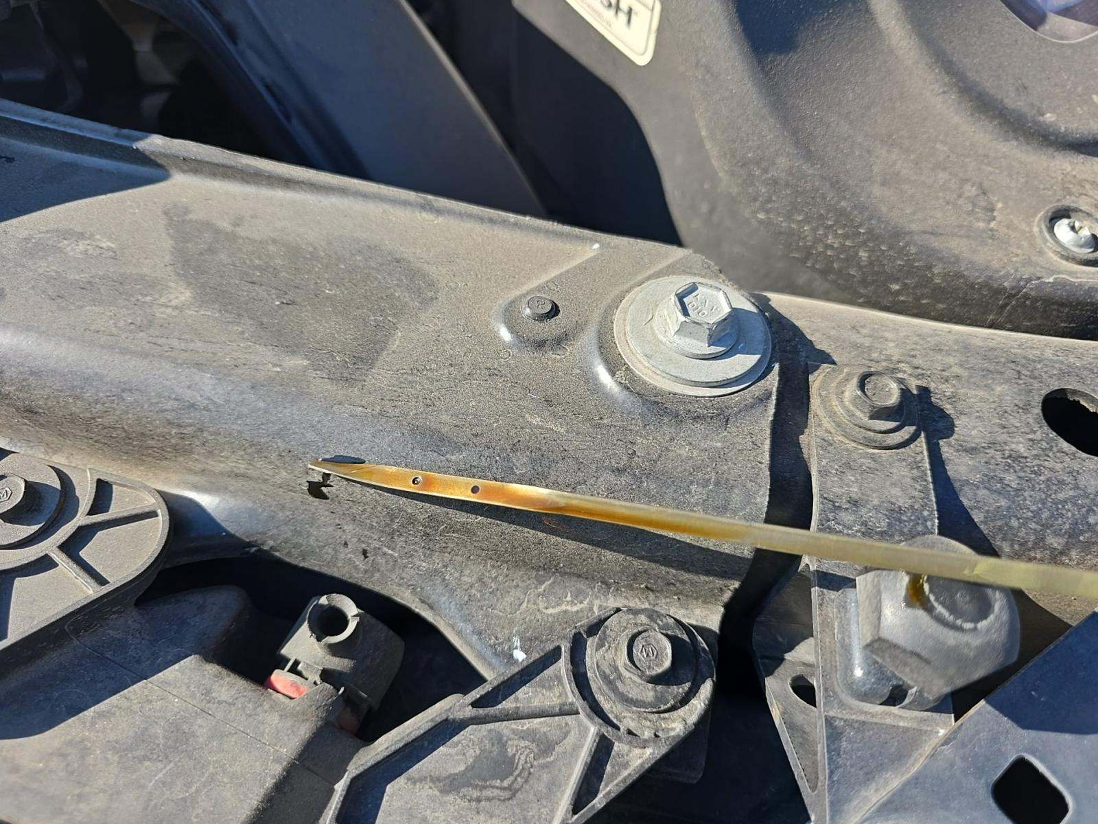 2019 Ford F-150 XLT AWD