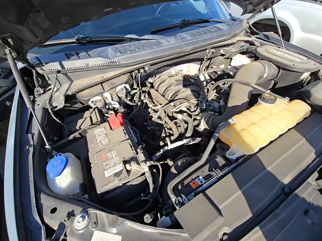 2019 Ford F-150 XLT AWD