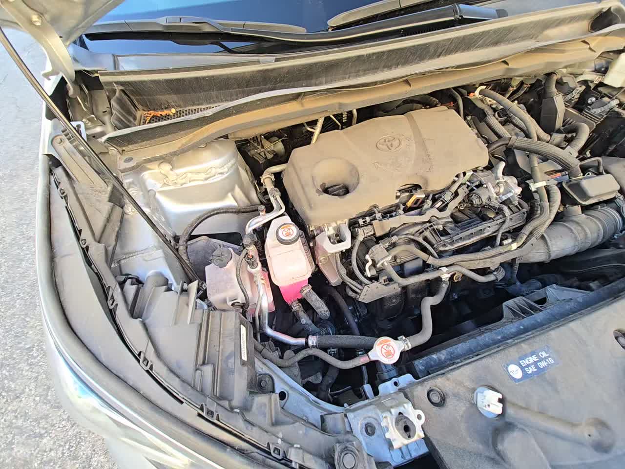 2022 Toyota Sienna Platinum FWD