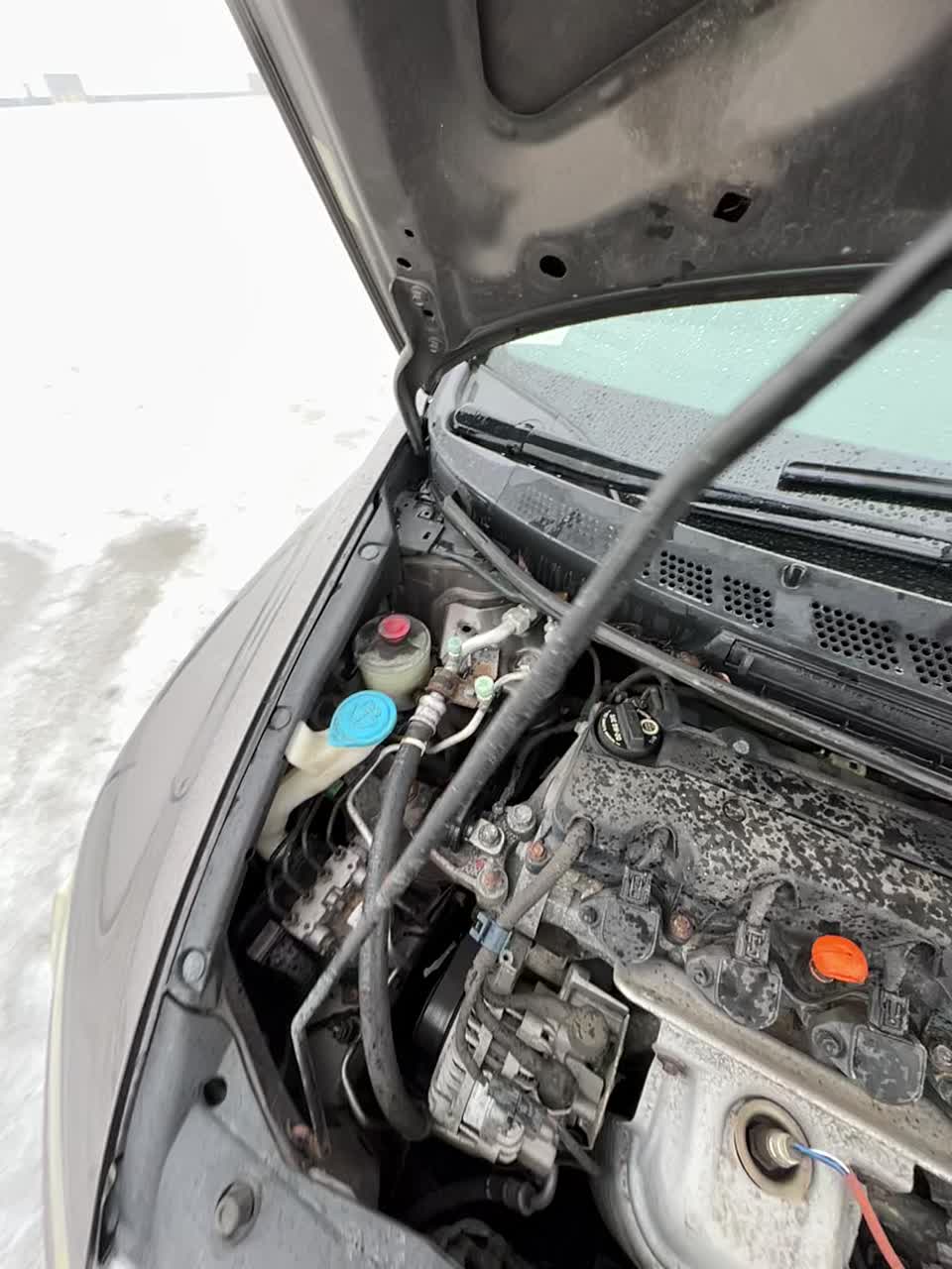 2010 Honda Civic LX-S FWD