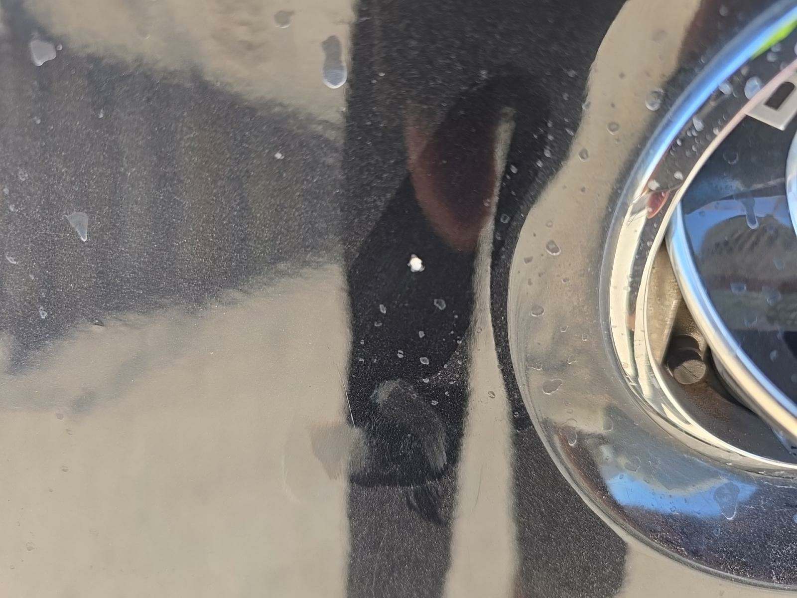 2015 BMW 6 Series 650i RWD