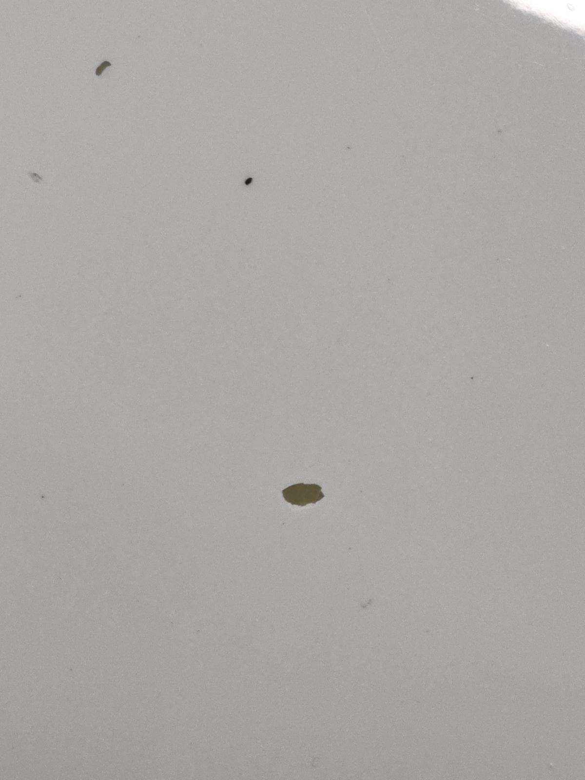 2019 Porsche Cayenne S AWD