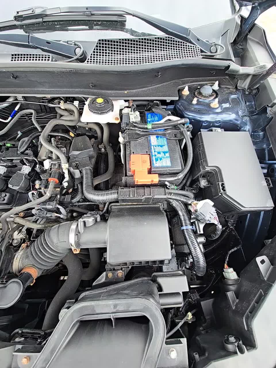2024 Honda CR-V EX-L AWD