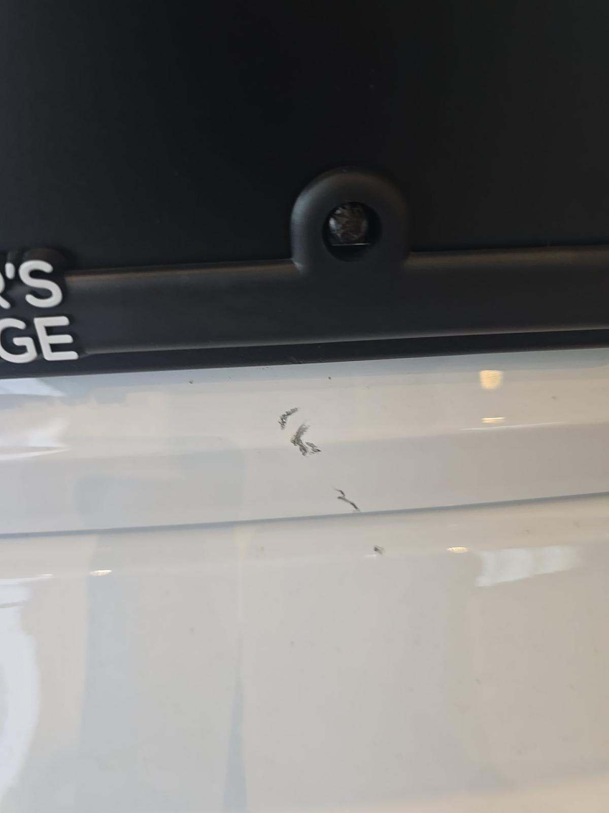 2024 Audi A5 S Line Premium Plus AWD