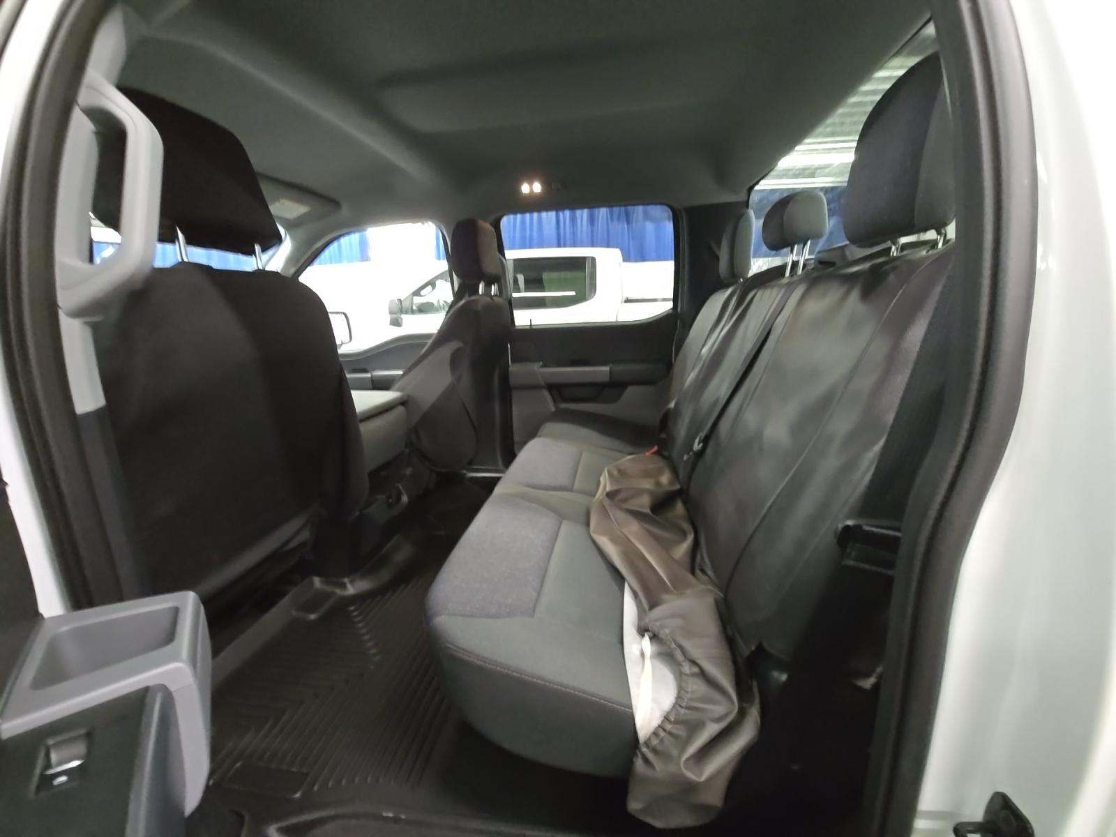 2024 Ford F-150 XLT AWD