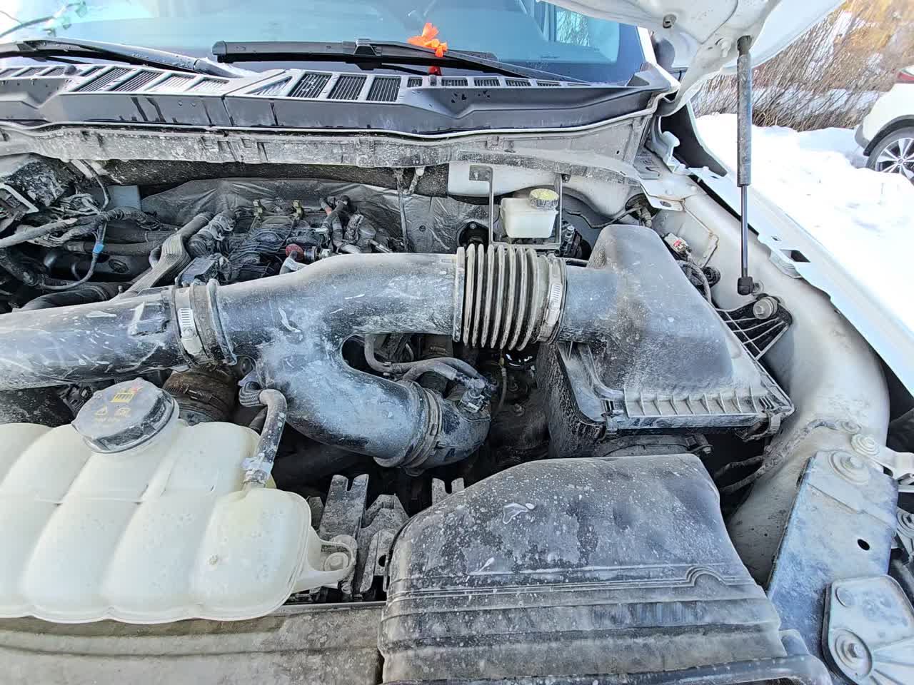 2024 Ford F-150 XLT AWD