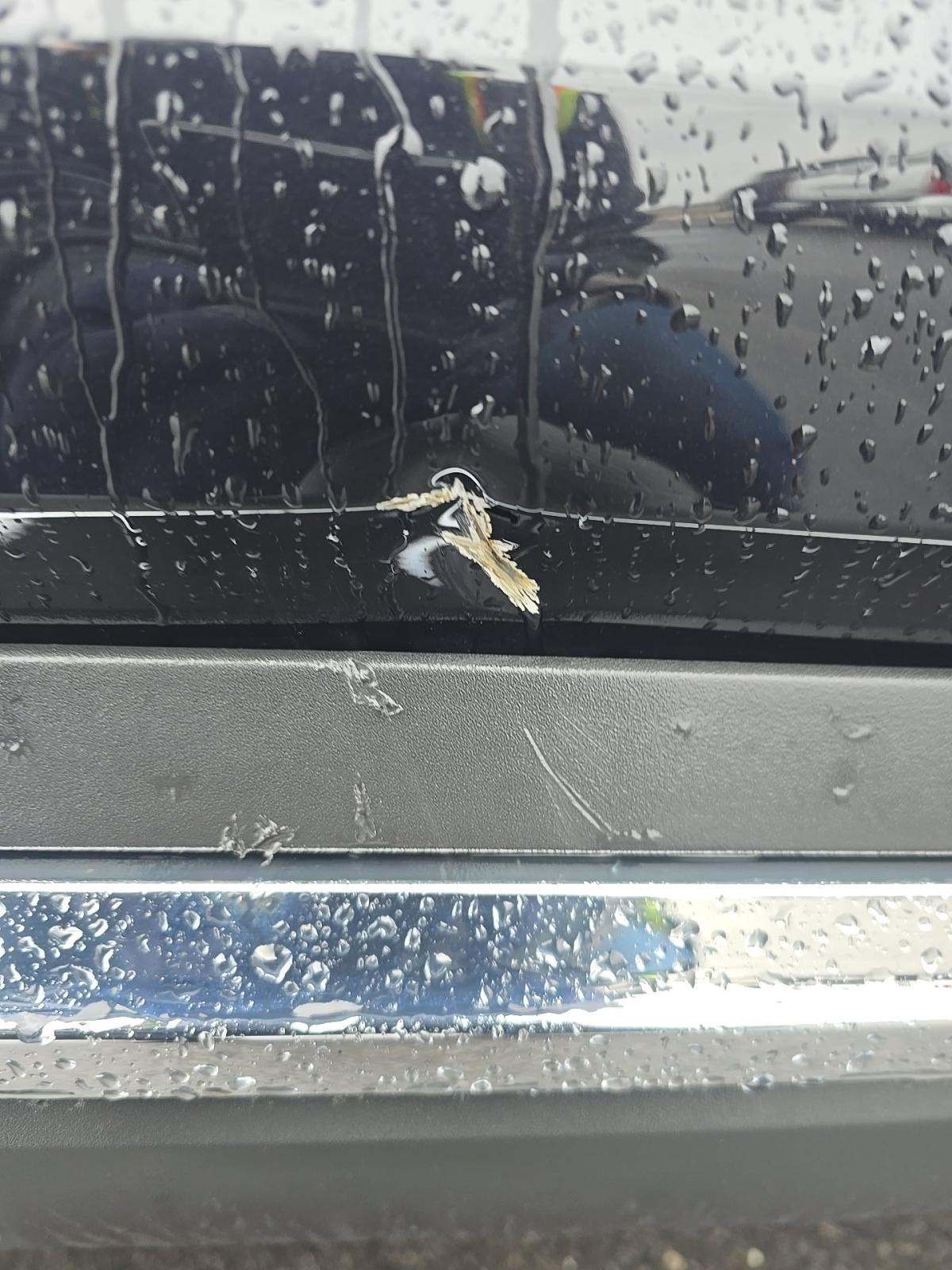 2023 Ford Explorer XLT AWD