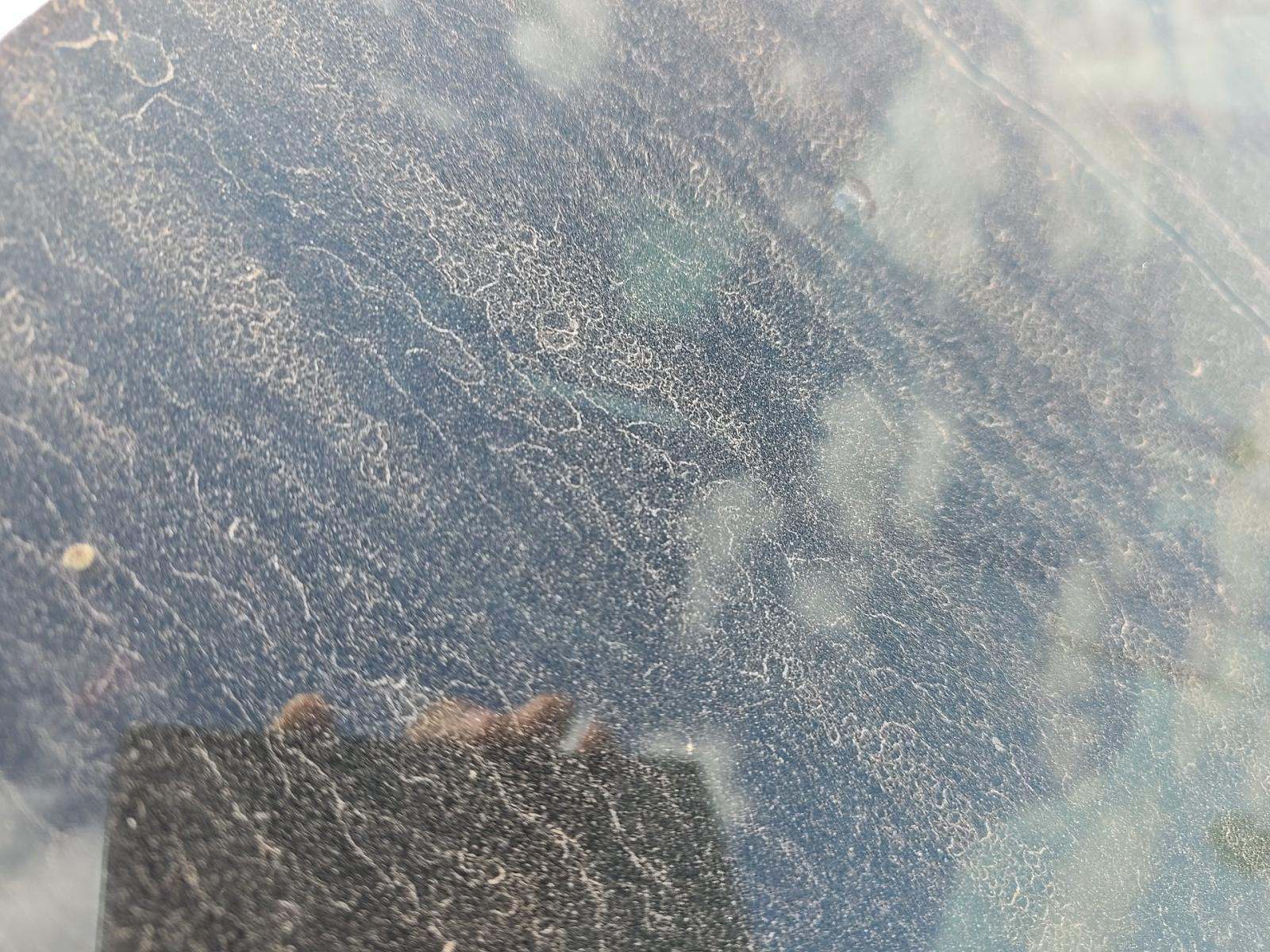 2021 Ford F-150 XL RWD