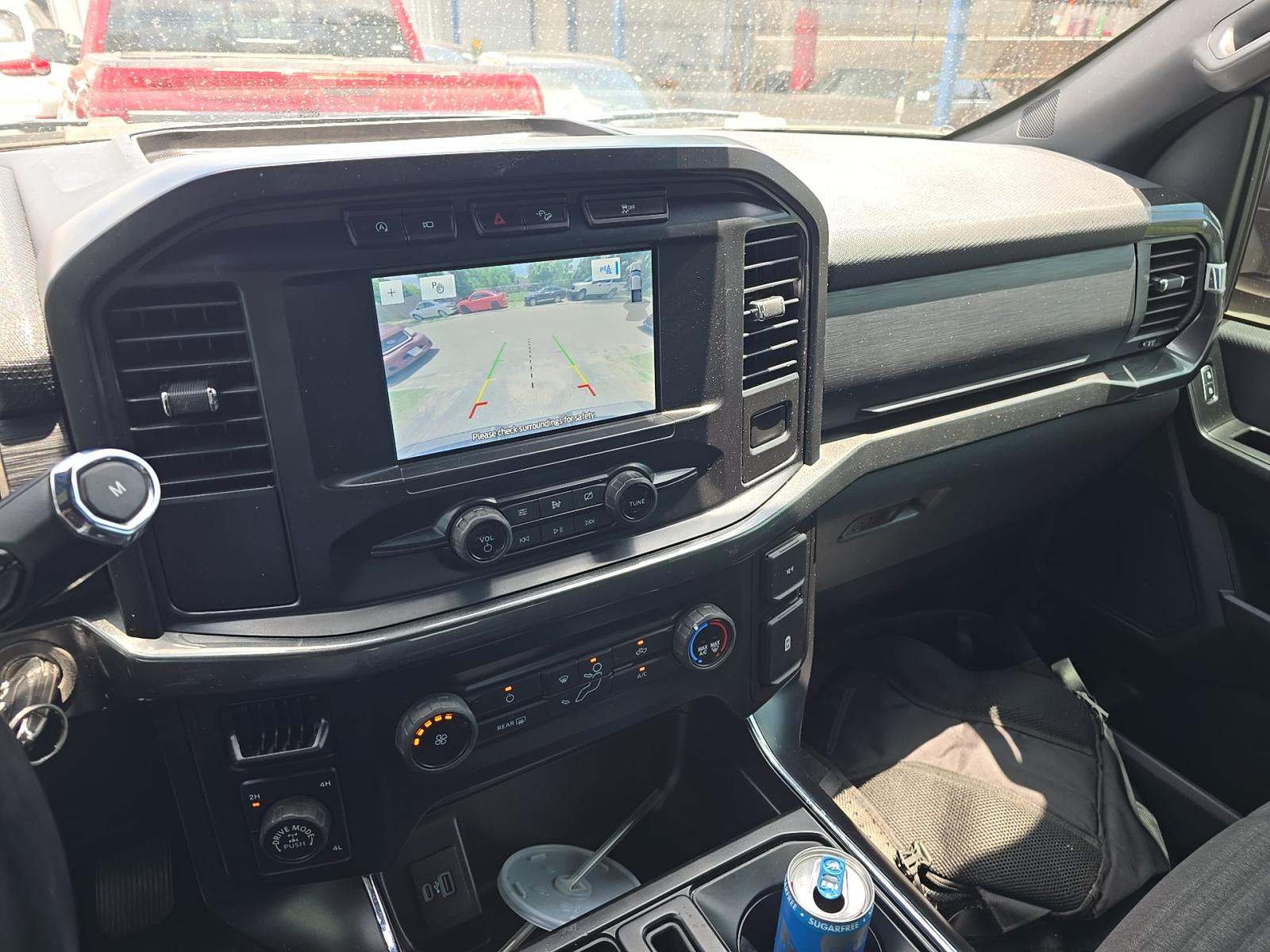FORD F-150 - 10