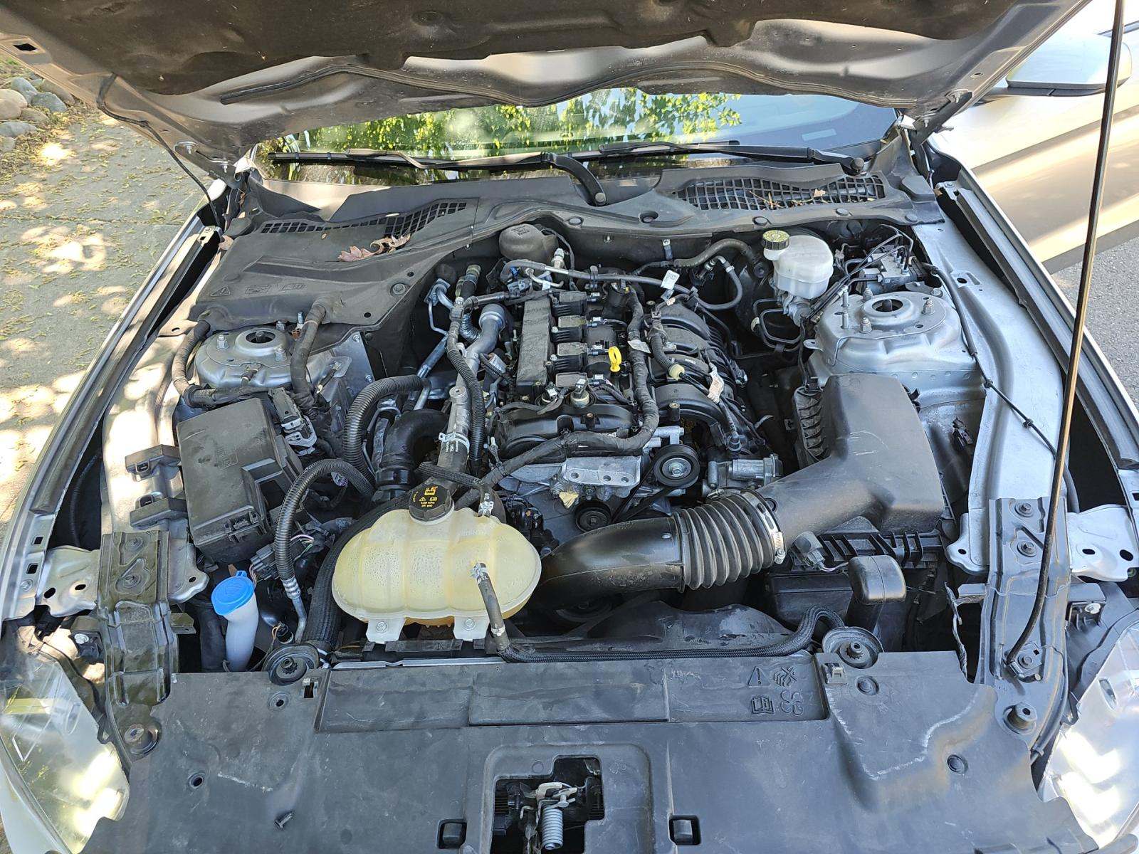 2021 Ford Mustang EcoBoost RWD