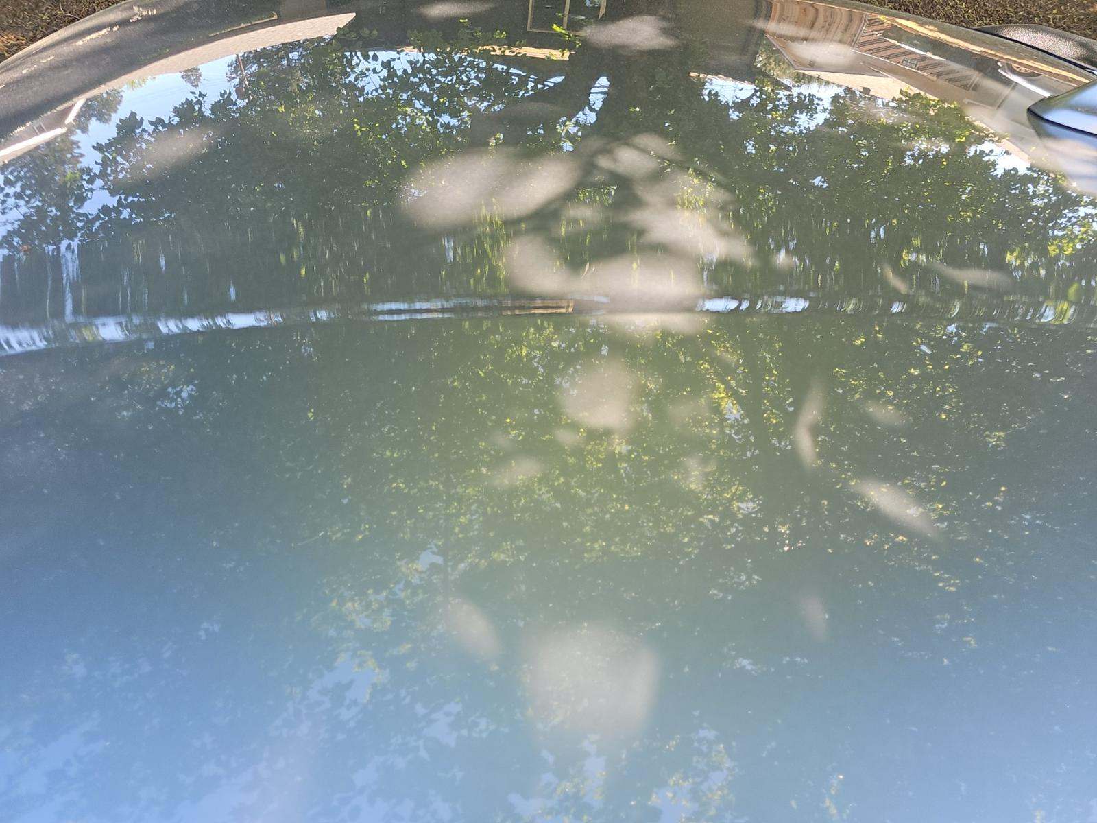 2021 Ford Mustang EcoBoost RWD