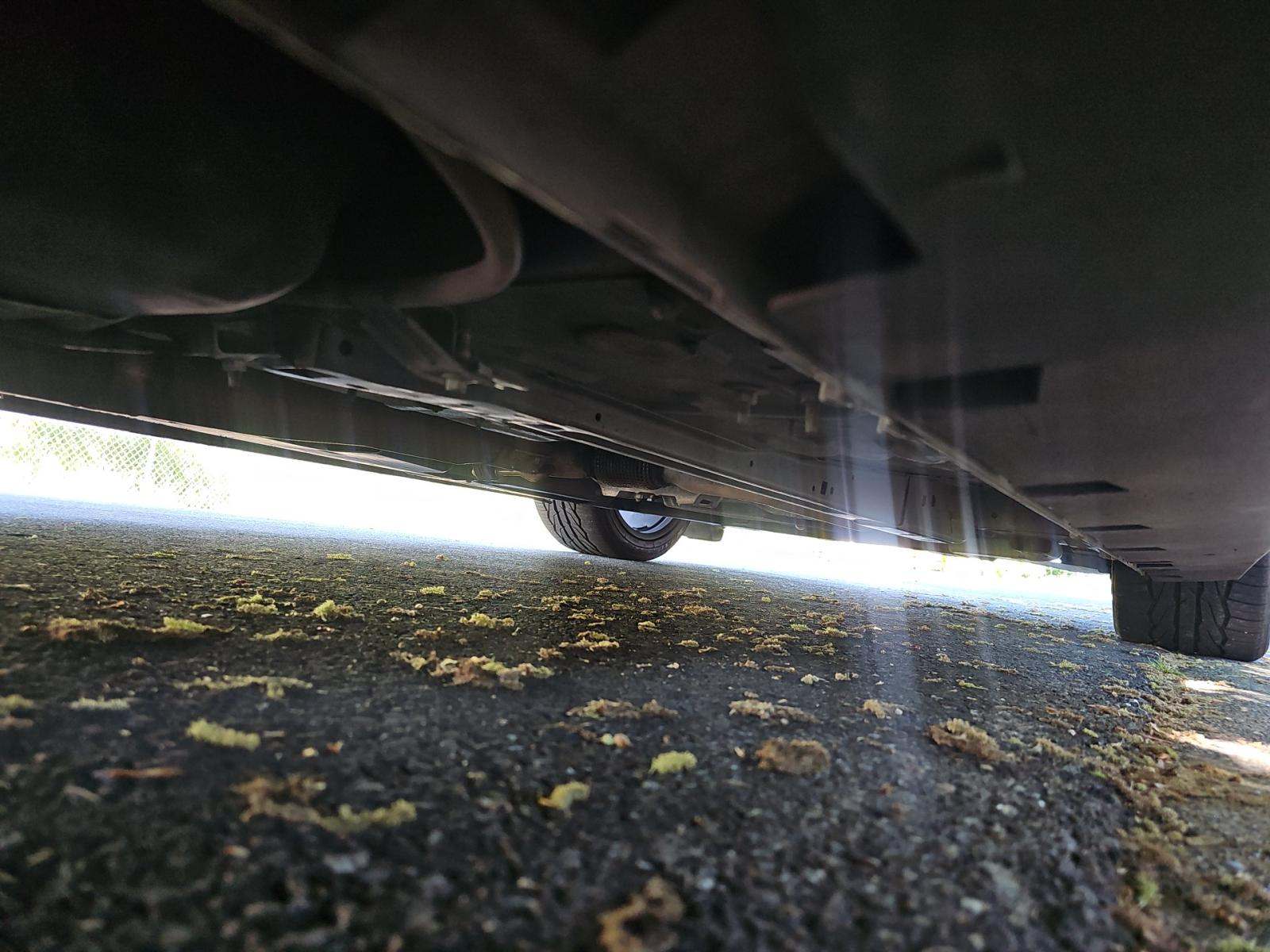 2021 Ford Mustang EcoBoost RWD