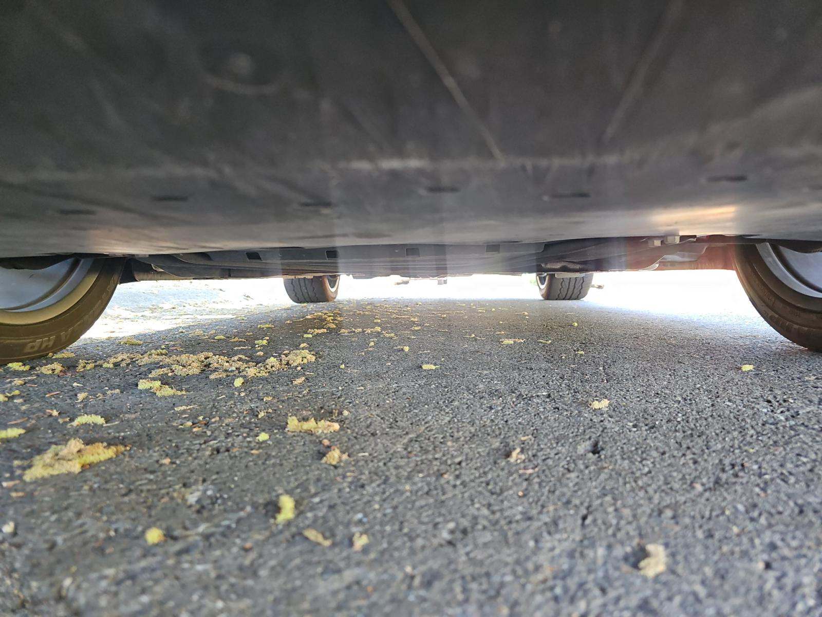 2021 Ford Mustang EcoBoost RWD