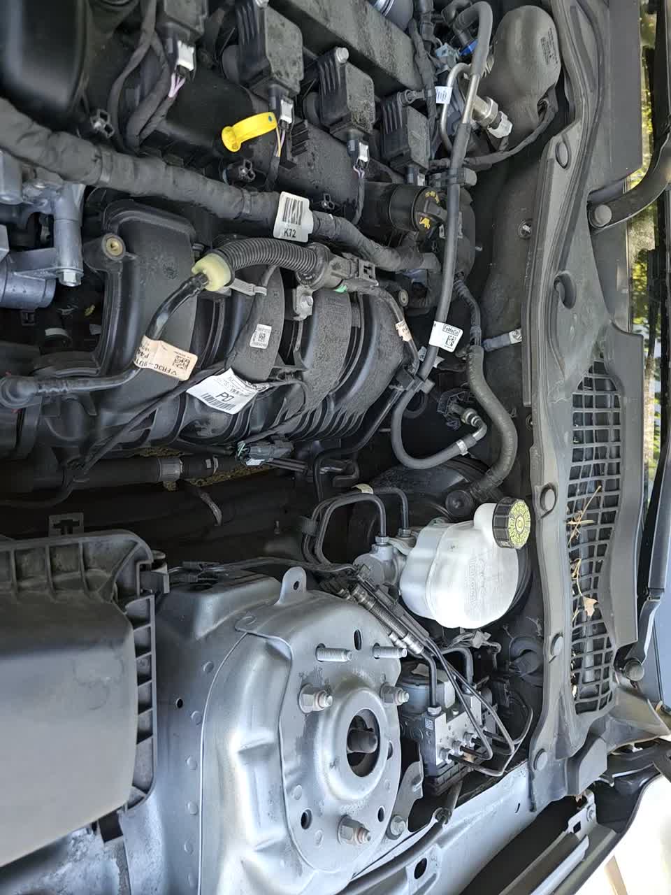 2021 Ford Mustang EcoBoost RWD