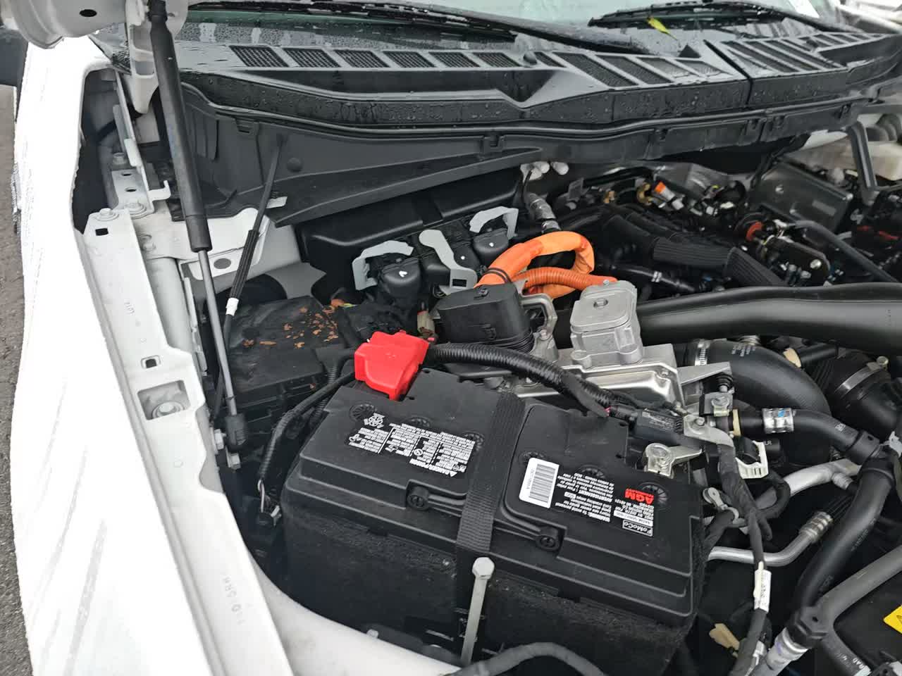 2024 Ford F-150 Hybrid XLT AWD