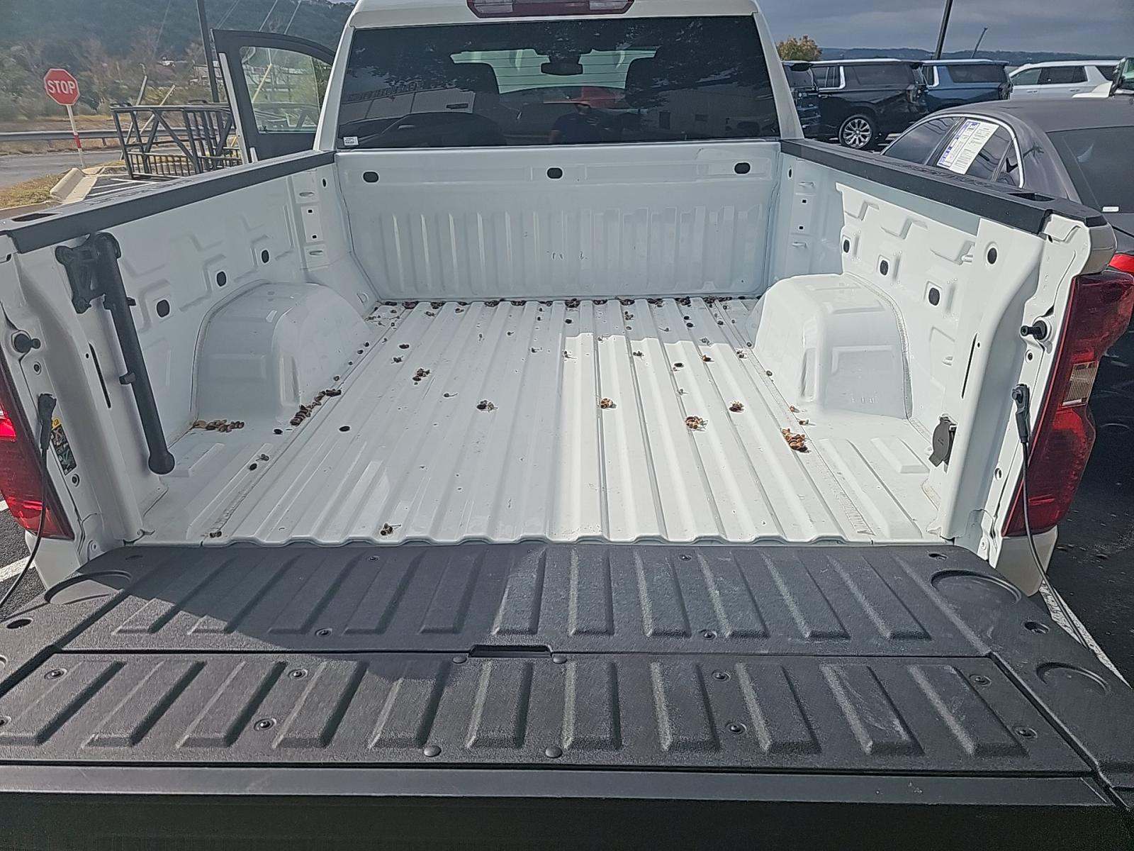 2025 Chevrolet Silverado 1500 Custom RWD