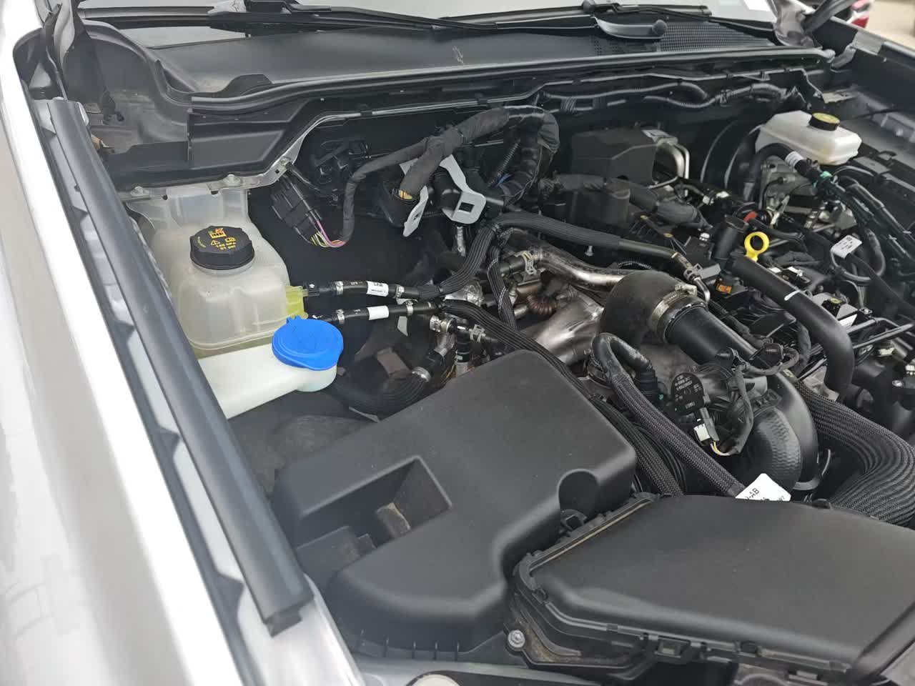 2024 Ford Ranger XLT AWD